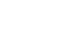 lymph
