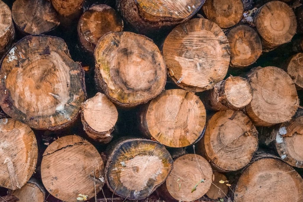 How To Start a Logging Business
