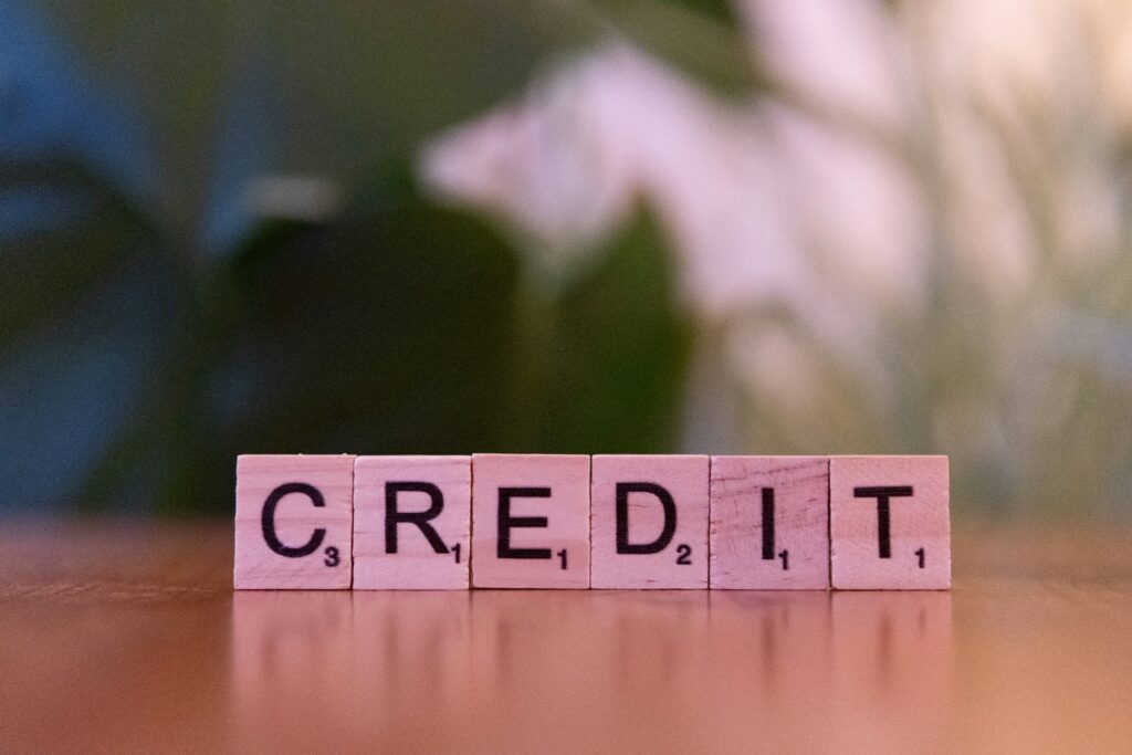 Overlooking the Impact of Credit Score and Credit History